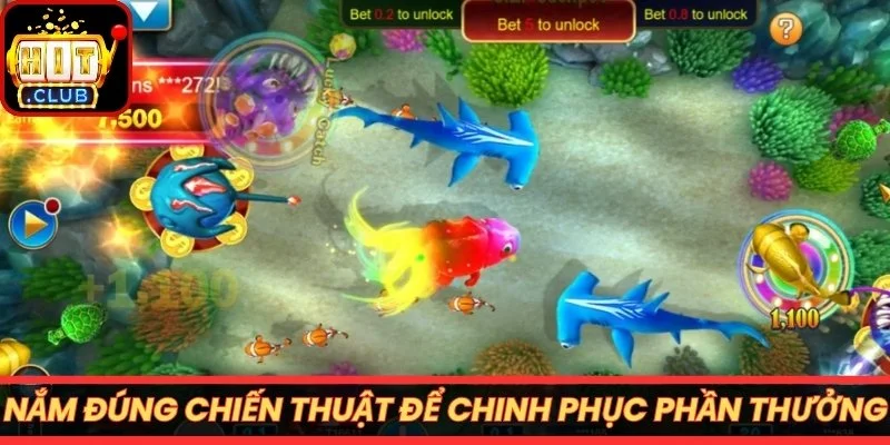 Nắm đúng chiến thuật để chinh phục phần thưởng