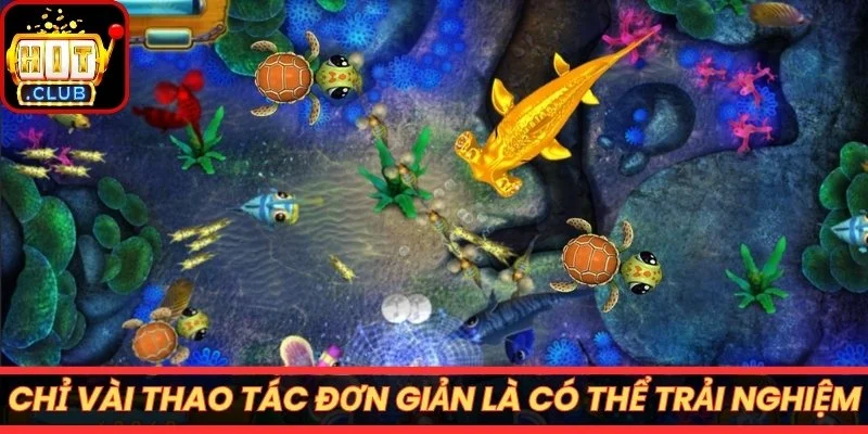 Chỉ vài thao tác đơn giản là có thể trải nghiệm