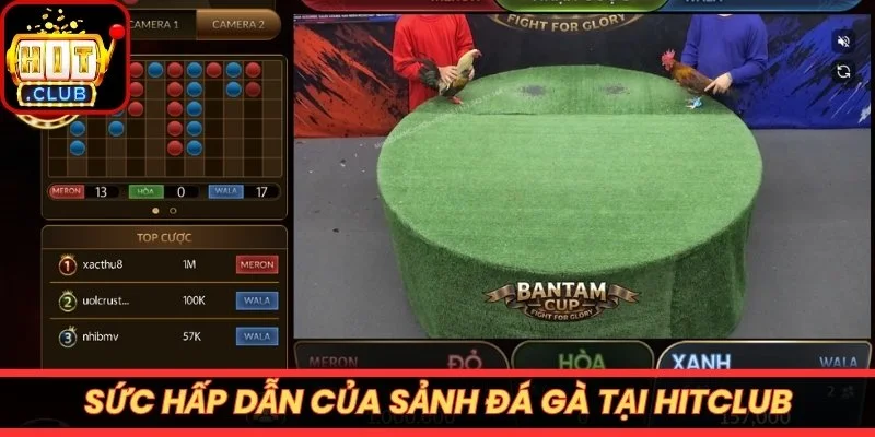 Sức hấp dẫn của sảnh đá gà tại Hitclub