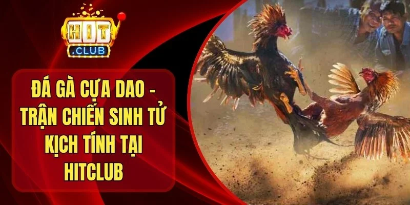 Đá Gà Cựa Dao