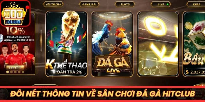 Đôi nét thông tin về sân chơi đá gà Hitclub