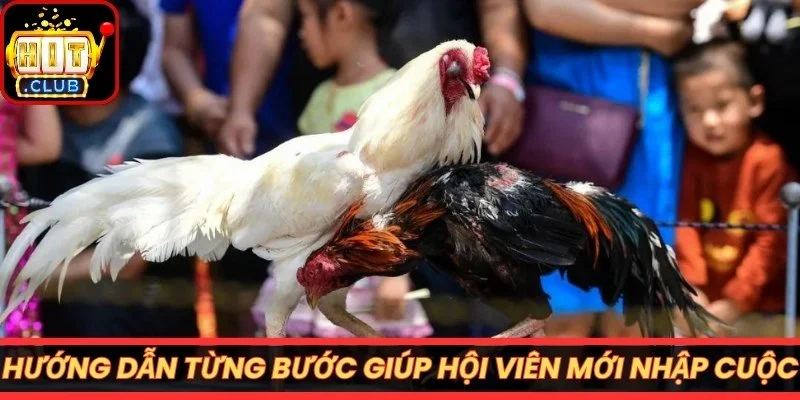 Hướng dẫn từng bước giúp hội viên mới nhập cuộc