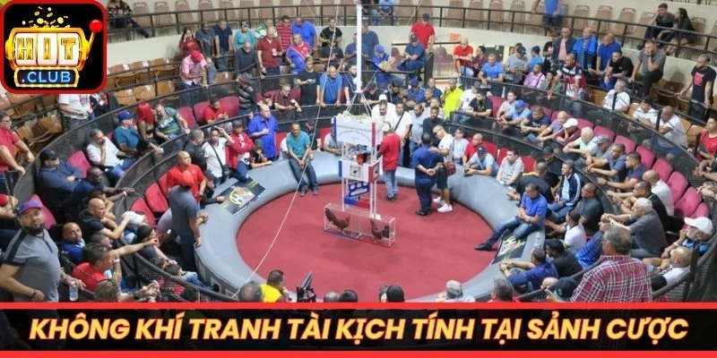 Không khí tranh tài kịch tính tại sảnh cược