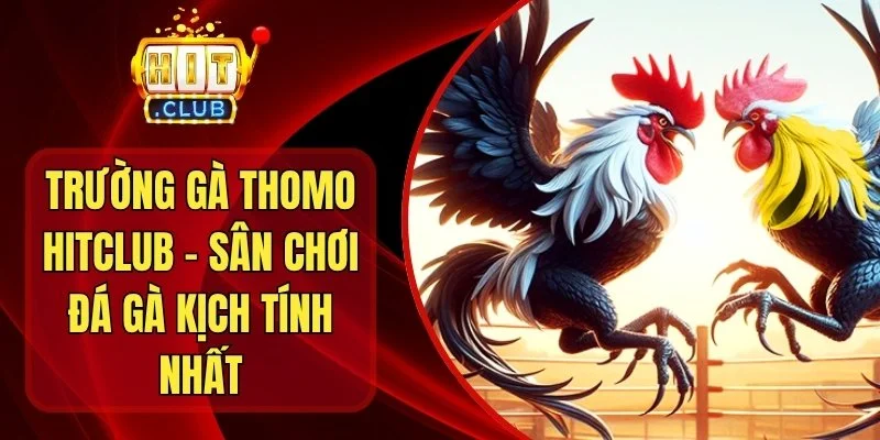 Trường Gà Thomo